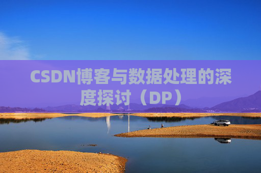 CSDN博客与数据处理的深度探讨（DP）